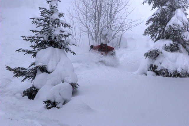 Telemarker: Staffan Sahlin <br> Foto: Michael Ewald <br>Tree Skiing at Flumserberge, Switzerland - March 2007