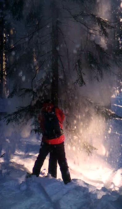 Telemarker: Peter Hutzler <br> Foto: Johanna Rasthofer <br> Location: Scheinbergspitze, Ammertal <br> Date: Feb 2003