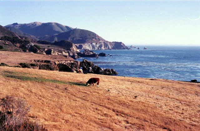Foto: Micha Ewald <br> Location: Big Sur, CA, USA <br> Date: September 2002
