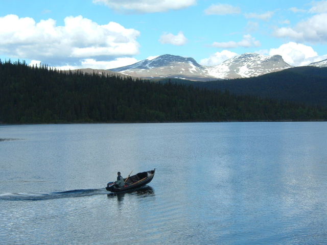 Foto: Micha Ewald <br> Location: Fatmomakke, Sweden <br> Date: June 2004