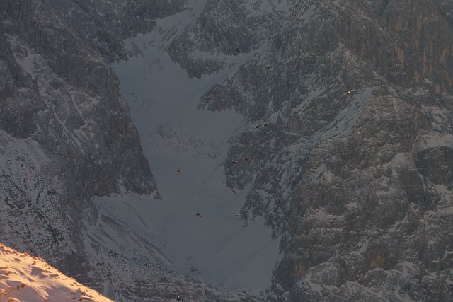 Foto: Peter Hutzler <br> Location: Stuiben, Germany (view towards the Hundstall Kar) <br> Date: Jan 2005