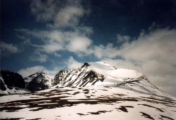 Foto: Micha Ewald <br> Location: Rondslottet, Rondane, Norway <br> Date: June 1998