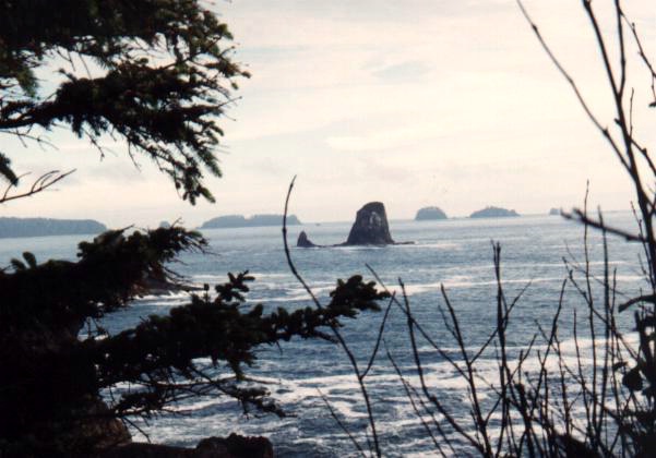 Foto: Micha Ewald <br> Location: Olympic Peninsula, WA, USA <br> Date: July 1999